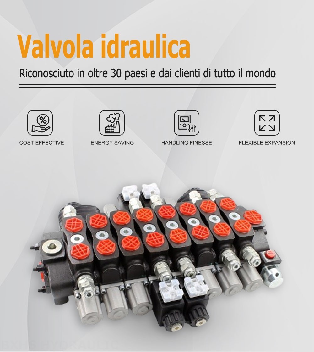 SD8 Manuale 8 Spool Valvola direzionale sezionale